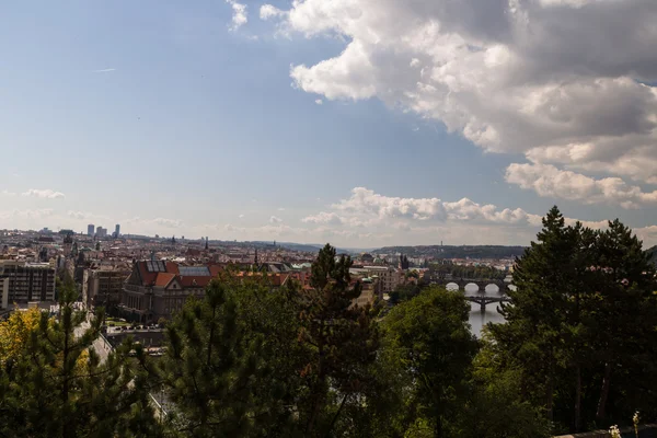 Toits rouges de Prague — Photo