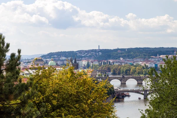 Rode daken van Praag — Stockfoto