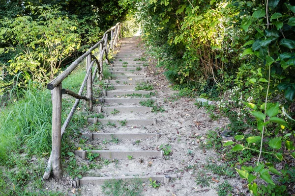 Escaleras en parque jardín —  Fotos de Stock