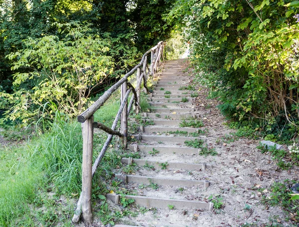 Escaleras en parque jardín —  Fotos de Stock