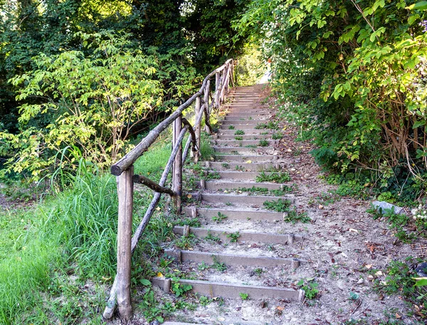 Escaleras en parque jardín —  Fotos de Stock