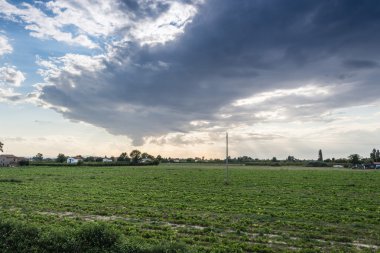 Tarlada gün batımı