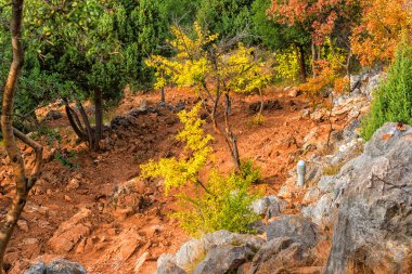 Hayalet hill sayısı
