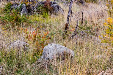 Krizevac Mount sonbahar renkleri