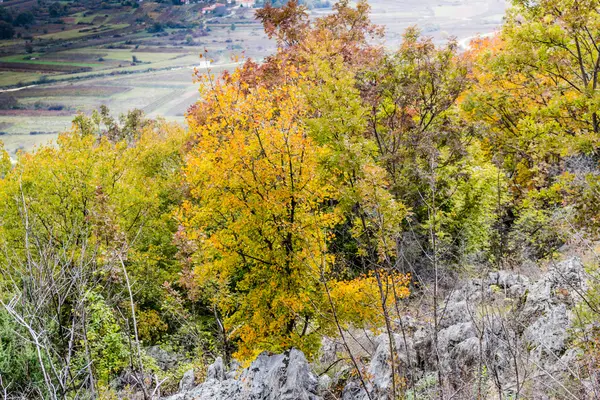 Colores otoñales de Krizevac Mount — Foto de Stock