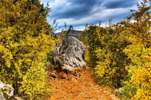 Cores de outono de Krizevac Mount — Fotografia de Stock