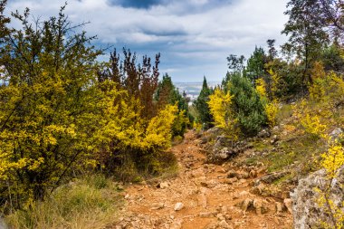 patika sonbahar renkleri arasında 