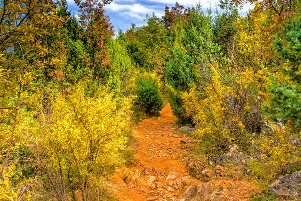 Sendero entre colores otoñales — Foto de Stock