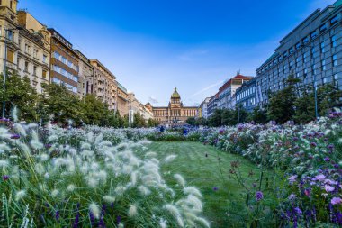Prag 'daki Wenceslas Meydanı