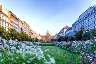 Prag 'daki Wenceslas Meydanı