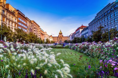 Prag 'daki Wenceslas Meydanı