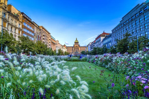 Prag 'daki Wenceslas Meydanı