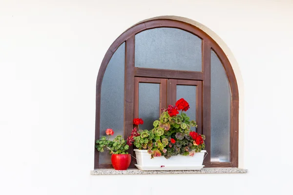 Окно и красные герани — стоковое фото