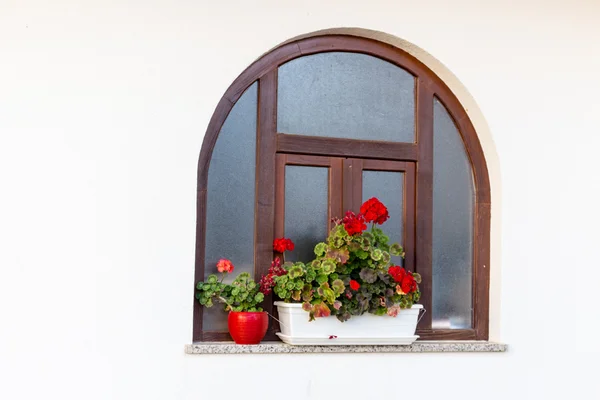 Fenêtre et géraniums rouges — Photo