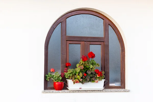 Venster en rode geraniums — Stockfoto