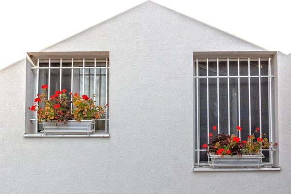 Fenêtres et géraniums rouges — Photo