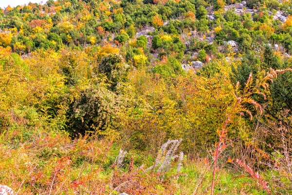 Výhled na kopec zjevení — Stock fotografie