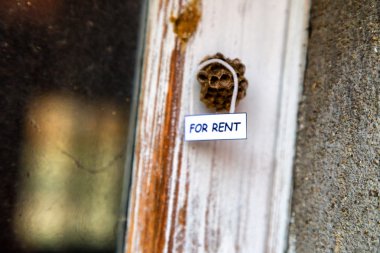 Kiralık bir ev olarak arı kovanı