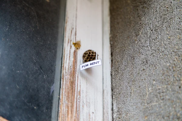 Bienenkorb als Haus zur Miete — Stockfoto