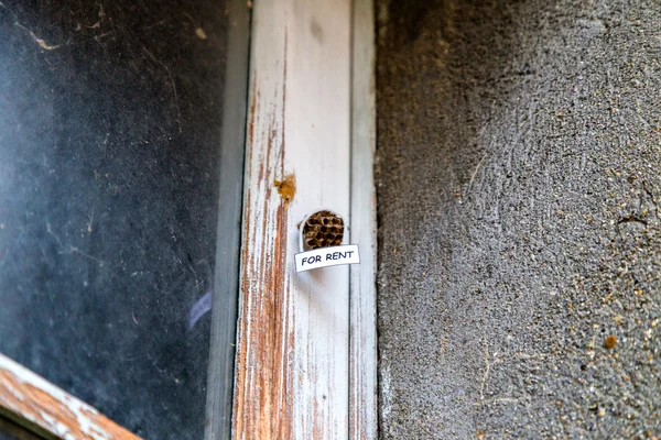 Méhkaptár, mint egy ház Kiadó — Stock Fotó