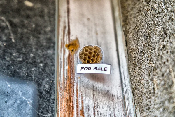 Bienenkorb als Haus zum Verkauf — Stockfoto