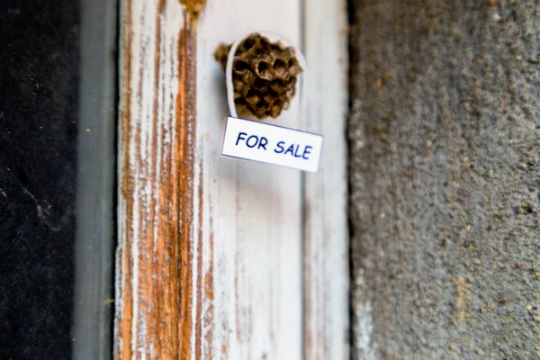 Bienenkorb als Haus zum Verkauf — Stockfoto