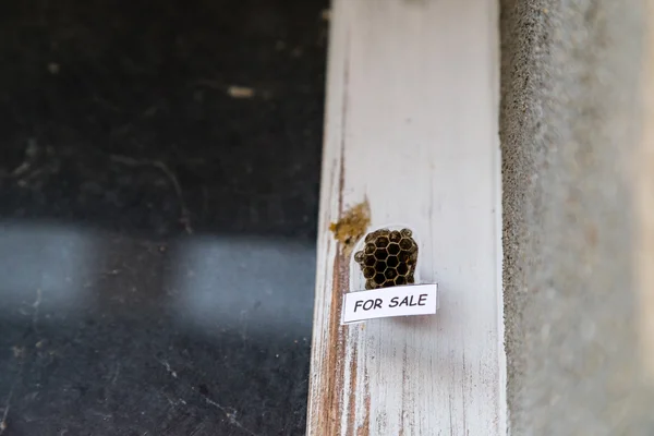 Bienenkorb als Haus zum Verkauf — Stockfoto