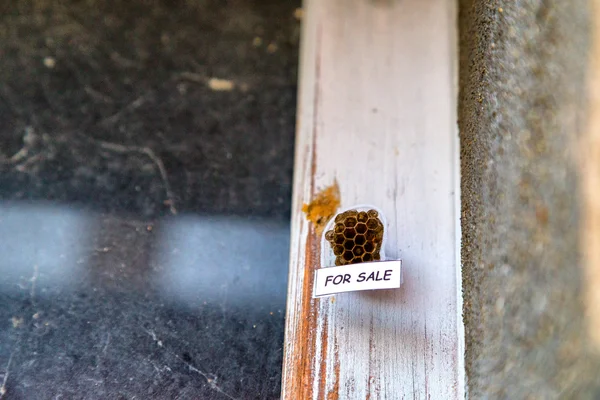 Bienenkorb als Haus zum Verkauf — Stockfoto