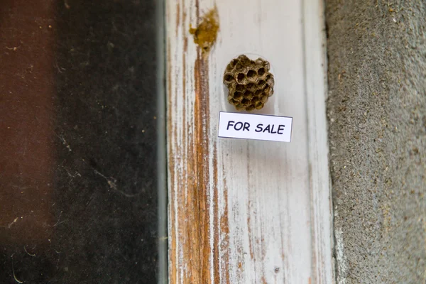 Colmeia como uma casa para venda — Fotografia de Stock