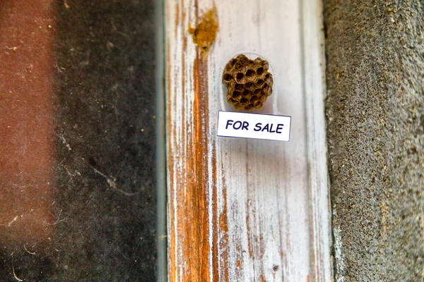 Bienenkorb als Haus zum Verkauf — Stockfoto