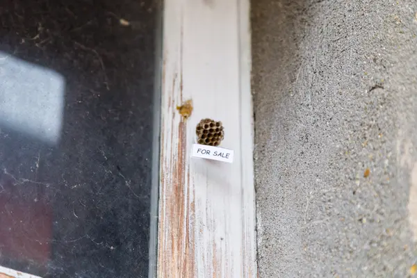 Méhkaptár, mint egy ház eladó — Stock Fotó