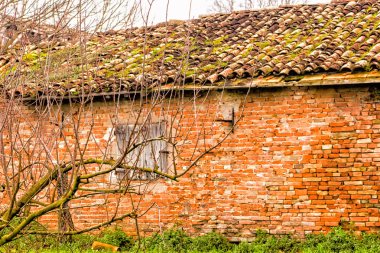 ağaçlar kır evi harabeye önünde çıplak dalları ile