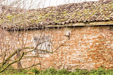 ağaçlar kır evi harabeye önünde çıplak dalları ile
