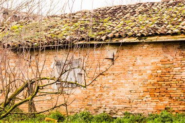ağaçlar kır evi harabeye önünde çıplak dalları ile