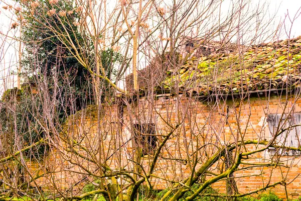 Arbres avec des branches nues en face de la maison de campagne en ruines — Photo