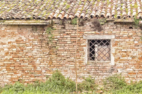 Ventana con rejilla de lozenge en casa arruinada — Foto de Stock