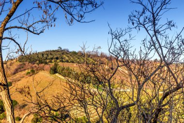 ekili hills dallarda