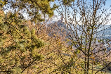 siste dallar arasında tepe üzerinde Saat Kulesi