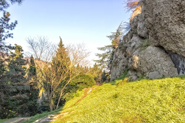 Spazierweg zwischen Büschen und grünem Gras — Stockfoto