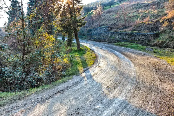 Camino húmedo y fangoso — Foto de Stock