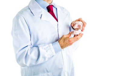 Doktor Diş döküm gösterilen beyaz ceket