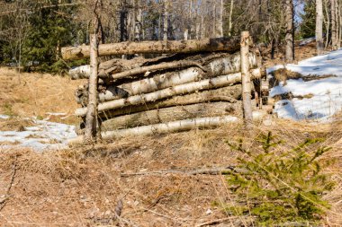 woodpile turuncu otlar ve dolomites ön cephede bıçaklar