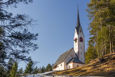 Kilise St. çam ormanlar ve karlı alanlarına bakan Jacob