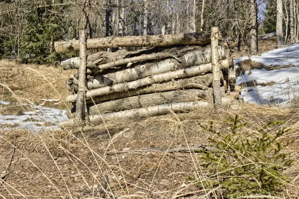 Pieu de bois sur les mauvaises herbes orange et les brins d'herbe dans les dolomites avant — Photo