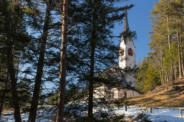 Iglesia de San Jacob con vistas a los bosques de pinos y campos nevados en — Foto de Stock