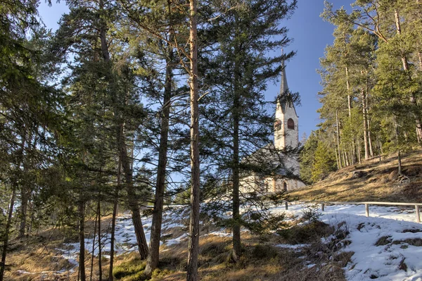 Kostel svatého Jakuba, s výhledem na borové lesy a Sněžná pole v — Stock fotografie