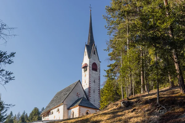 Kostel svatého Jakuba, s výhledem na borové lesy a Sněžná pole v — Stock fotografie