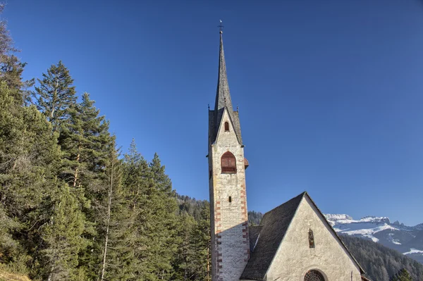 성 야 곱 교회 내려다 보이는 소나무 숲과 눈 덮인 완두콩 — 스톡 사진