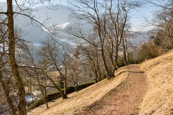 Sentier pédestre en pinède sur les montagnes des Dolomites — Photo