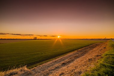 İtalya'da Emilia Romagna kırsal ekili alanlar